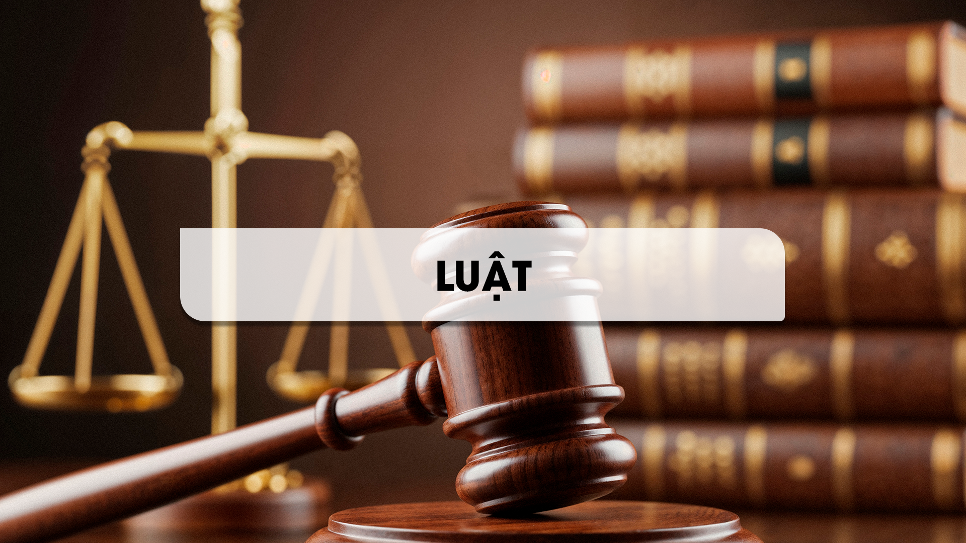 <p><span style="color: #ffffff;"><a href="https://tnu-elearning.edu.vn/nganh/nganh-luat/" style="color: #ffffff;"><strong>Luật</strong></a></span></p>
