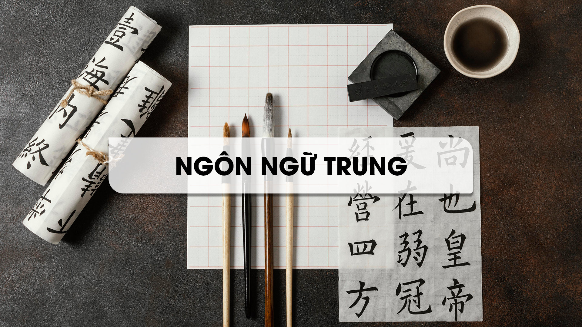 <p><span style="color: #ffffff;"><a href="https://tnu-elearning.edu.vn/nganh/nganh-ngon-ngu-trung-quoc/" style="color: #ffffff;"><strong>Ng&ocirc;n ngữ Trung Quốc</strong></a></span></p>